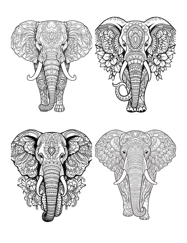 20 MANDALA ELEPHANTS VOL 1 DOWNLOADABLE PDF COLOURING IN PAGES Cloud