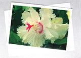 Aspen Zygocactus Greeting Card. The world's first frilly edged zygocactus flower