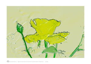 Yellow rose A3 unframed print wall decor published by Cloud Publishing.