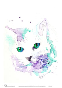 Green eyed cat A4 print