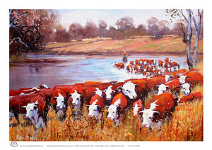 A4 print Herefords river crossing