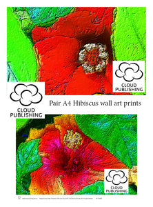 Pair of Red and Red Orange Hibiscus flower A4 unframed prints