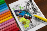 Colouring In Butterfly Cards set of 4