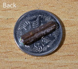 Green blue Australian pipe opal with hints of yellow and pink from Cloud Publishing Opal collection