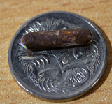 Australian pipe opal with the colours of the rainbow from Cloud Publishing