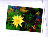 Flower greeting card of a yellow waterlily in a pond by PJ Hill published by Cloud Publishing