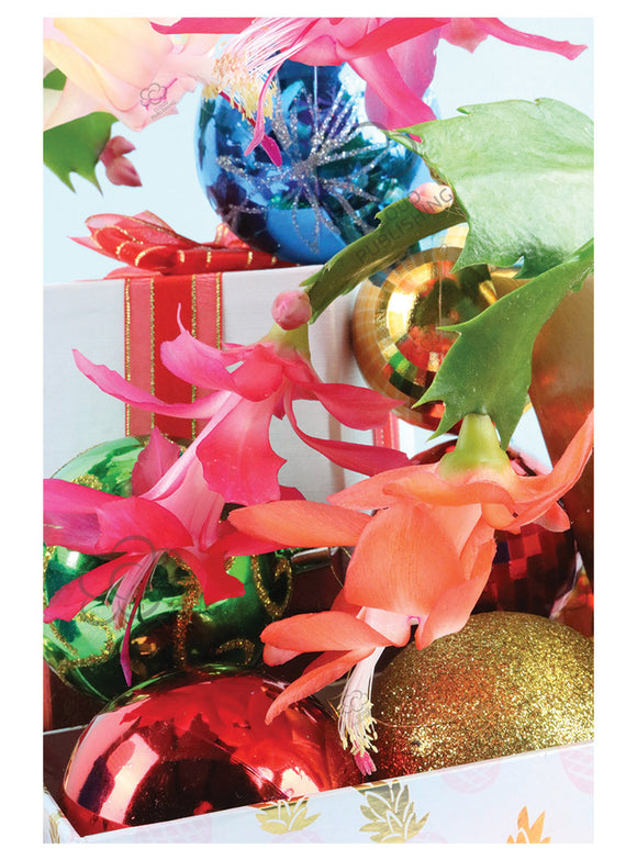 Christmas Cactus Christmas card with flowers and baubles