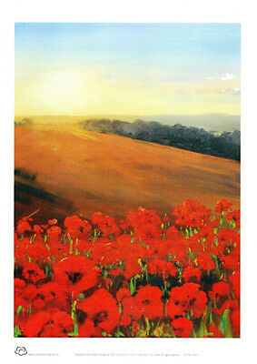 Poppy Fields in Flanders A4 decor print by Peter Hill from Cloud Publishing