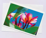 Greeting card of the tropical frangipani with pink yellow and white flowers from the underside looking upwards through leaves into the blue sky by photographer Tony brindley and published by Cloud Publishing