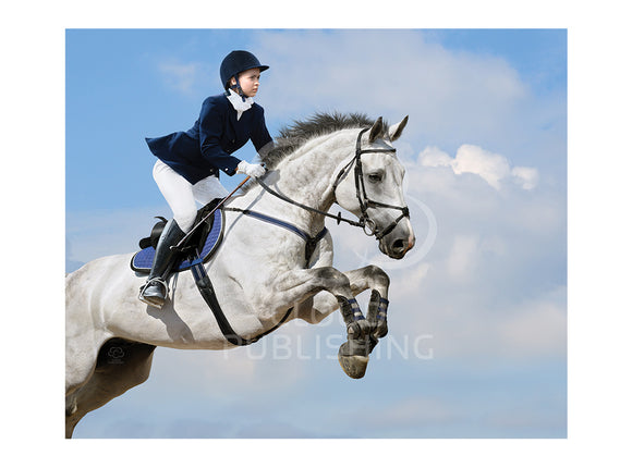 Dressage horse greeting card published by Cloud Publishing