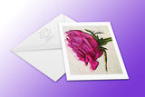 Greeting card of a hot pink smoking pink rose from Cloud Publishing