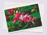 Christmas cactus greeting card of variety Strawberry Fantasy from Cloud Publishing