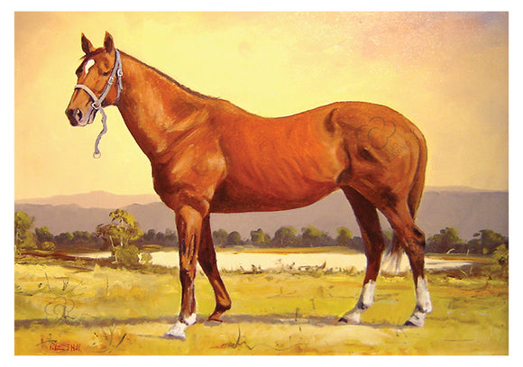 Horse greeting card of a Chestnut by Peter Hill