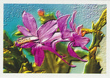 Christmas Cactus Lavender girl greeting card from Cloud Publishing