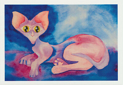 Pink cat greeting card of a hairless cat with big eyes by John Howarth and published by Cloud Publishing