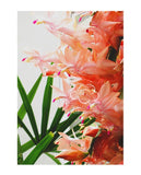 Christmas Cactus Wall art A3 unframed print by artist Tony Brindley and published by Cloud Publishing