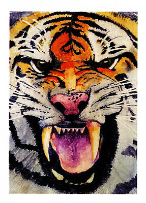 Tiger greeting card of a fierce Tiger face from an original watercolor by Glenda Gilmore and published by Cloud Publishing