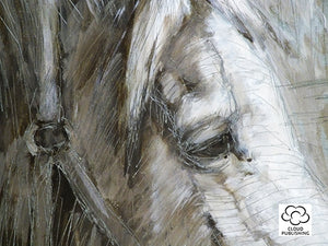 Horse greeting card from an original oil painting by Australian artist Sima Kokaev and published by Cloud Publishing