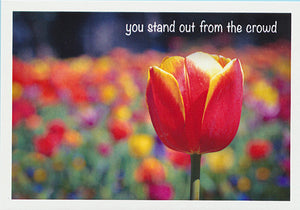 Red and yellow tulip in a field with the caption "You stand out from the crowd" greeting card  published by Cloud Publishing