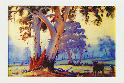Greeting card of Australian Gum trees Ulmarra to Tucabia NSW by artist PJ Hill published by Cloud Publishing