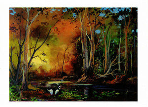 Greeting card of Egrets at play in the Barmah Forest along the Murray river by Australian artist Peter Hill and published by Cloud Publishing