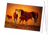 Young horse foals in paddock greeting card by Peter Hill