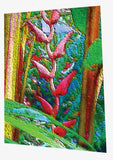 Red hanging heliconia greeting card illustralin by Asutralian artist Tony Brindley and published by Cloud Publishing