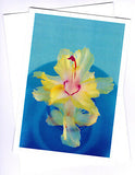 Christmas cactus greeting card yellow frilly Chelsea zygocactus variety published by Cloud Publishing