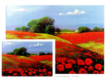 Poppy Fields of Flanders A4 unframed print by Peter Hill and published by Cloud Publishing