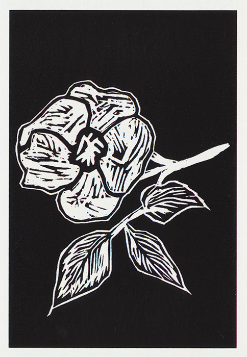Black and white flower greeting card woodcut style from Cloud Publishing