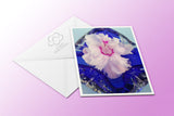 Zygocactus Aspen also known as Thanksgiving cactus, Holiday Cactus, Christmas cactus and schlumbergera. Aspen is pure white frilly and is displayed on this greeting card on blue glass. Published by Cloud Publishing.