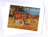 Clydesdales resting by Australian artist peter Hill and printed as a greeting card by Cloud Publishing