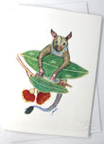 Possum hanging in red flowering gum leaves greeting card by artist Jon Howarth and published by Cloud Publishing