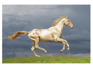 Golden Perlino horse greeting card