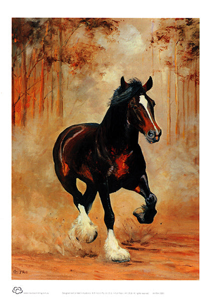 A dark brown Clydesdale horse with white fluffy feet running fiercely from a bushfire. An unframed print by Australian artist Peter Hill and published by Cloud Publishing 