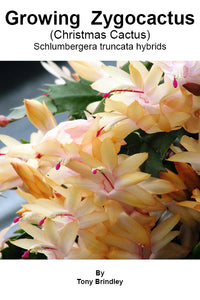 Growing Zygocactus eBook by Australian expert Tony Brindley. Learn all about zygocactus, Christmas cactus and schlumbergera  flowering plants.  Australian, USA and European varieties featured. Published by Cloud Publishing.