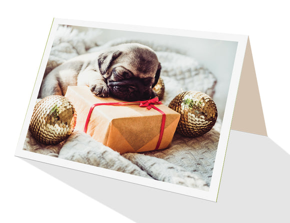 Cute puppy asleep on a gift parcel ooh aah greeting card