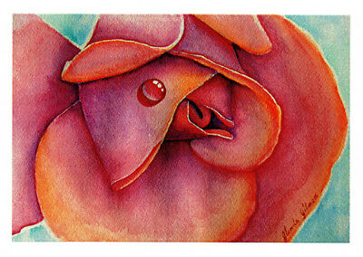 Pink rose greeting card by artist Glenda Gilmore and published by Cloud Publishing