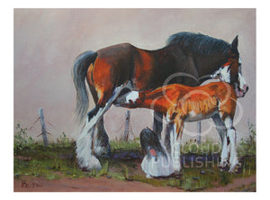 A Clydesdale foal drinking milk from his mother with a little watching fascinated. By Australian artist Peter Hill and published as a greeting card by Cloud Publishing