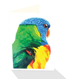 Rainbow lorikeet parrot greeting card by emma Harris and published by Cloud Publishing
