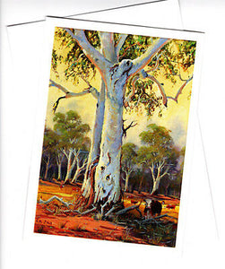 Australian Ghost gums by Peter Hill and Cloud Publishing