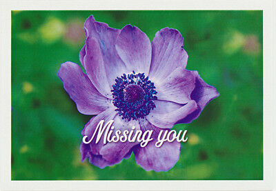 Greeting card Blue flower with Missing You narration from Cloud Publishing