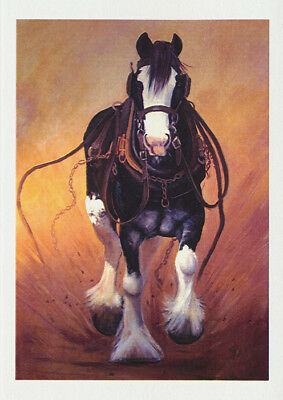 Greeting card of running Clydesdale horse in harness from Cloud Publishing