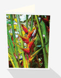 Orange crabs claw heliconia flower Greeting card from Cloud Publishing